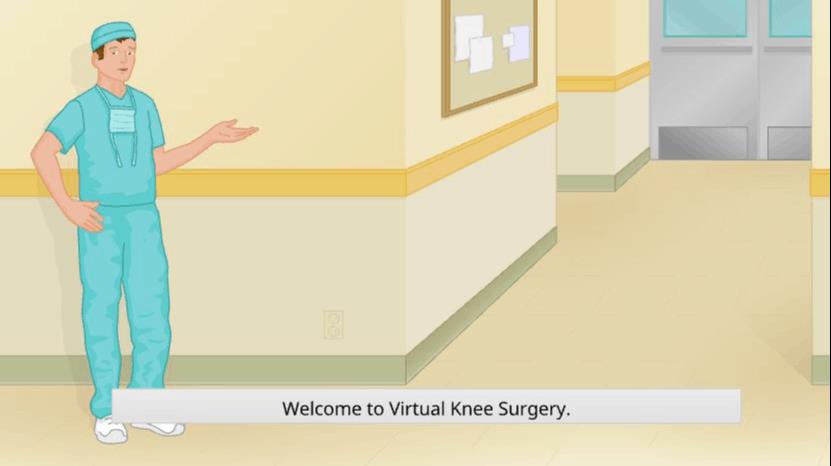 Virtual Knee Surgery