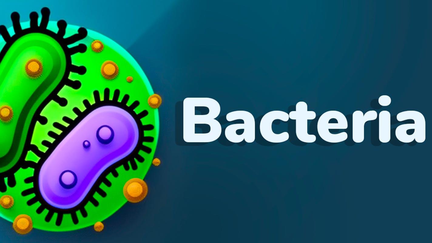 Bacteria